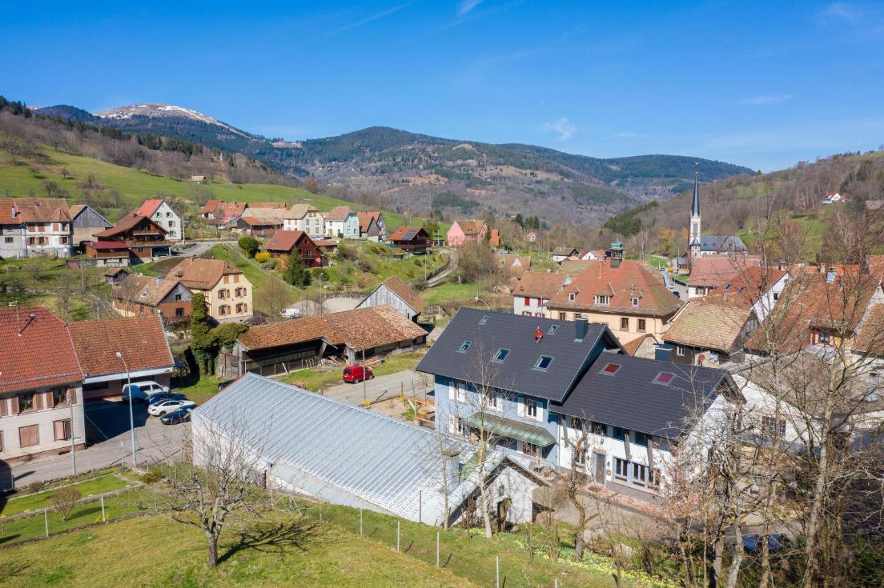 Locations Des 3 Sommets Avec Sauna Et Spa En Alsace Sondernach 外观 照片