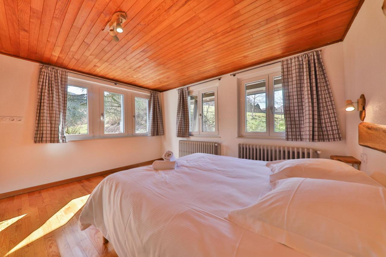 Locations Des 3 Sommets Avec Sauna Et Spa En Alsace Sondernach 外观 照片
