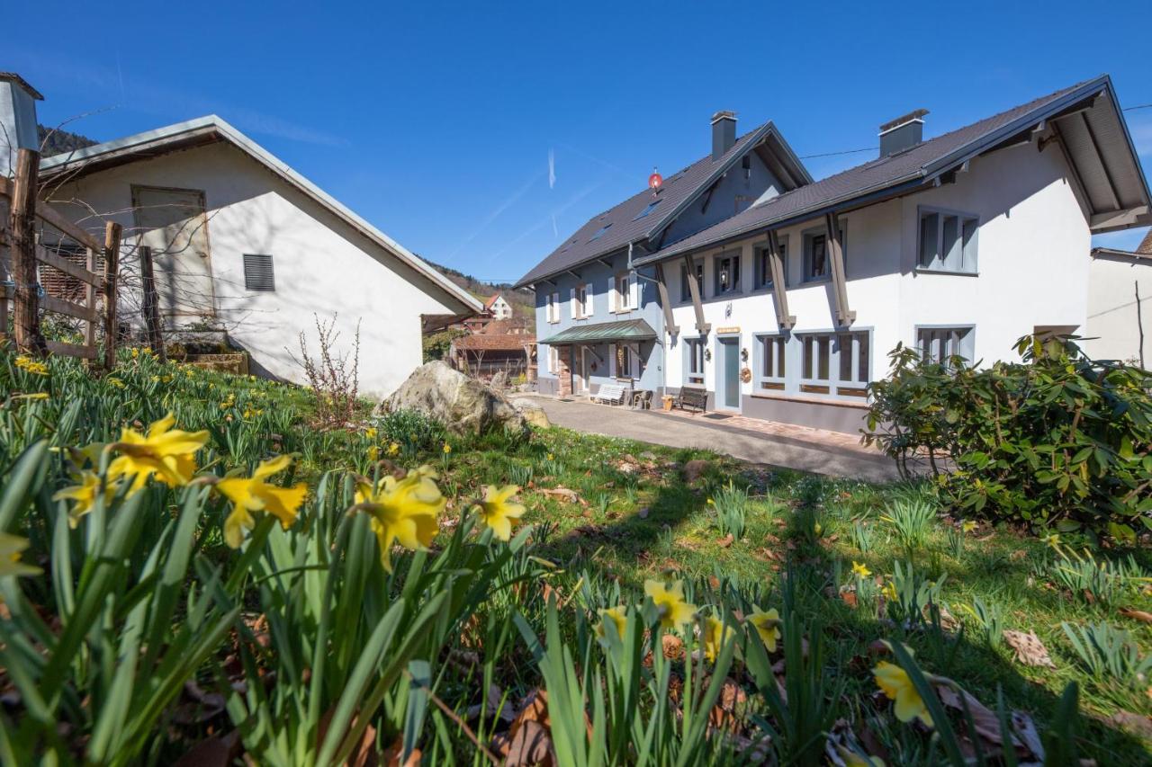 Locations Des 3 Sommets Avec Sauna Et Spa En Alsace Sondernach 外观 照片