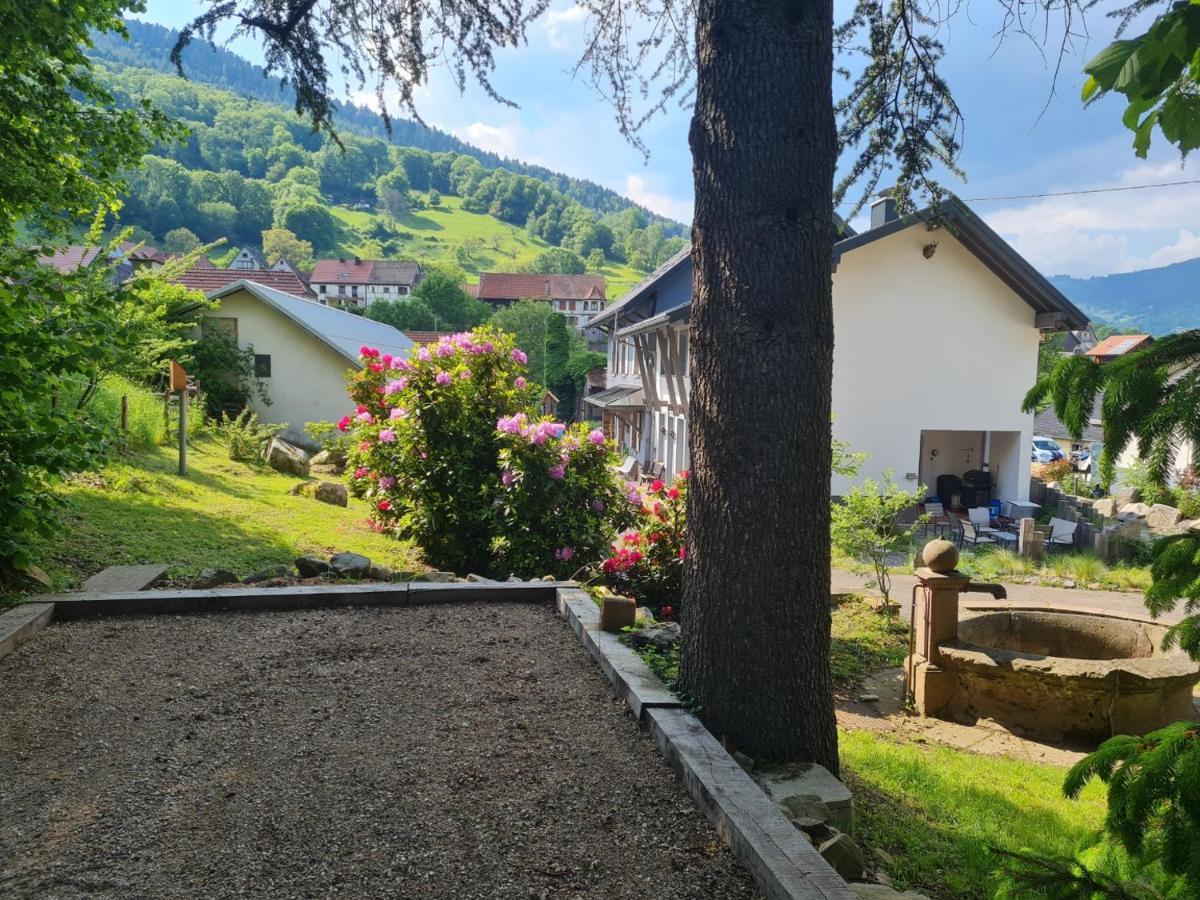 Locations Des 3 Sommets Avec Sauna Et Spa En Alsace Sondernach 外观 照片