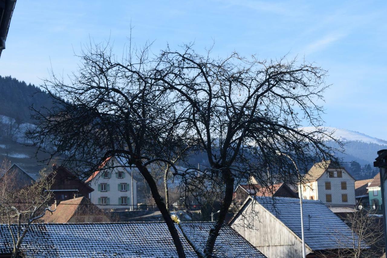 Locations Des 3 Sommets Avec Sauna Et Spa En Alsace Sondernach 外观 照片
