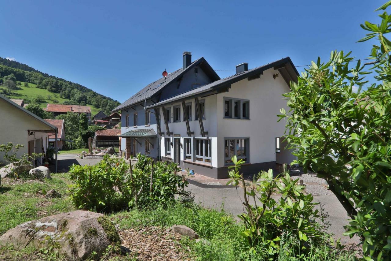 Locations Des 3 Sommets Avec Sauna Et Spa En Alsace Sondernach 外观 照片