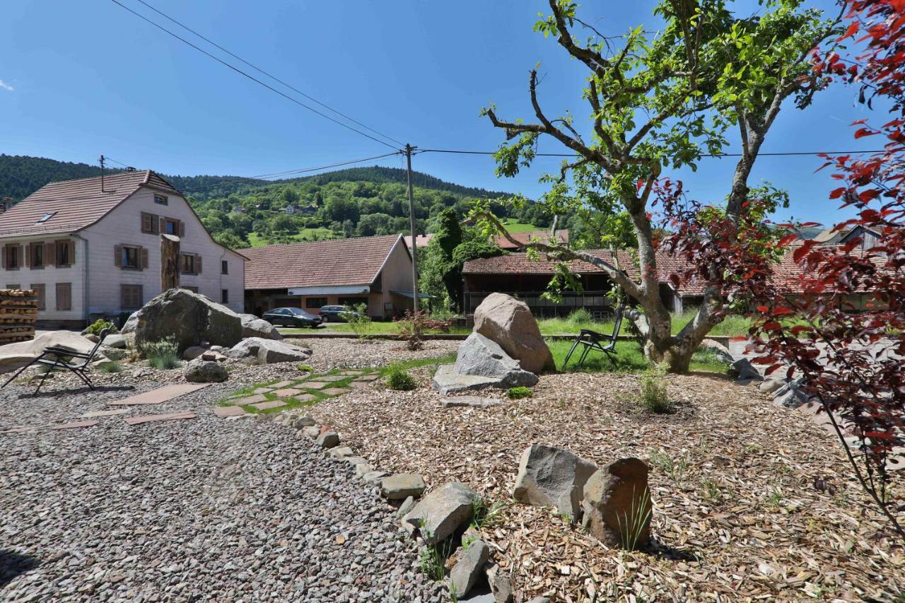 Locations Des 3 Sommets Avec Sauna Et Spa En Alsace Sondernach 外观 照片